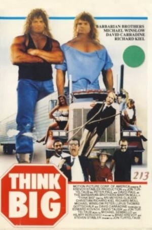 Think Big's poster