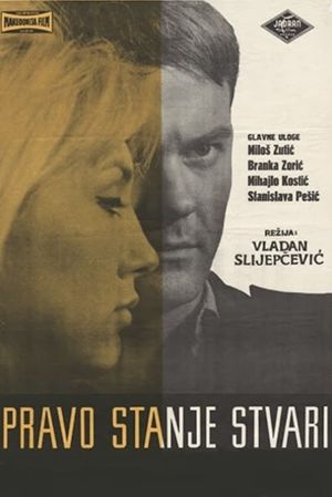 Pravo stanje stvari's poster