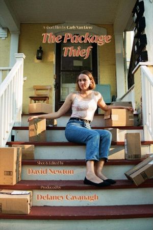 The Package Thief's poster image