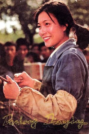 Zhe bu shi wu hui's poster
