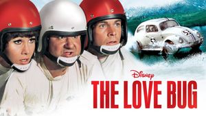 The Love Bug's poster