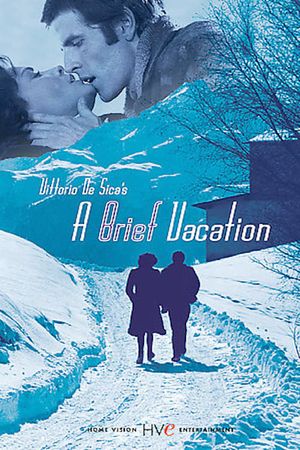 A Brief Vacation's poster image