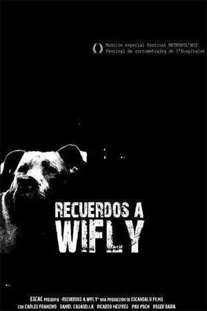 Recuerdos a Wifly's poster