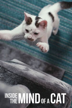 Inside the Mind of a Cat's poster