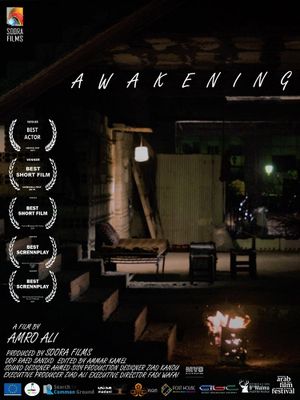Awakening's poster