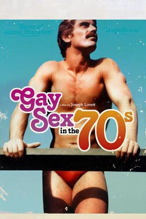 Gay Sex in the 70s's poster