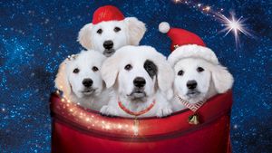 Santa Paws 2: The Santa Pups's poster