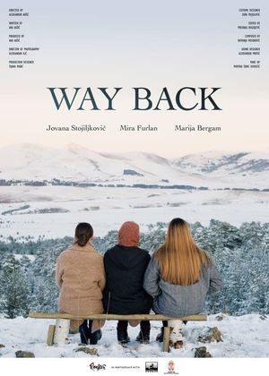 Way Back's poster image