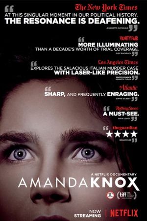 Amanda Knox's poster