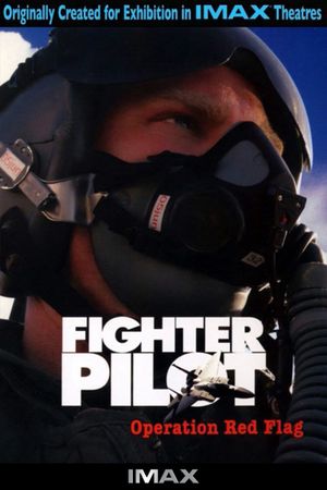 Fighter Pilot: Operation Red Flag's poster