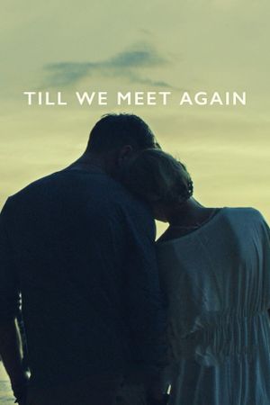 Till We Meet Again's poster