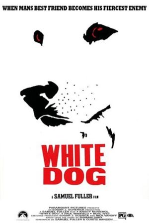 White Dog's poster