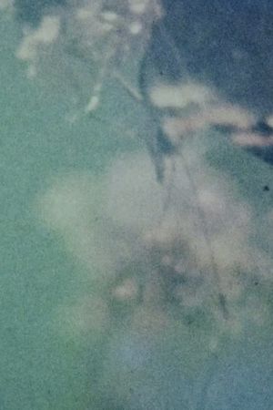 In the Broken Eye of the Butterfly's poster