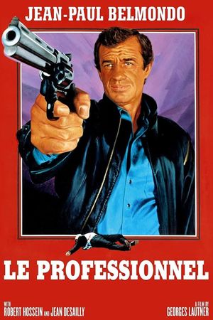 The Professional's poster