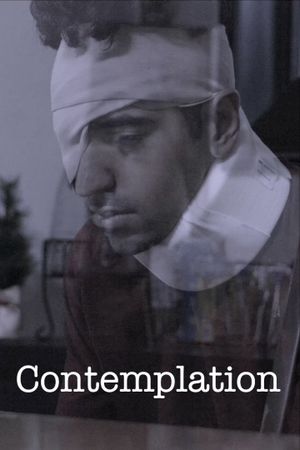 Contemplation's poster