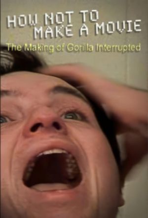 How Not to Make a Movie's poster