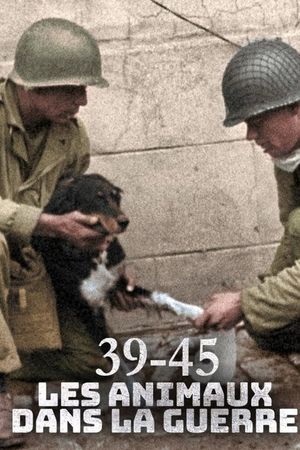 Animals at War, Wild Heroes of World War II's poster
