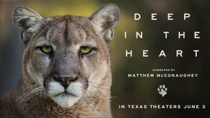 Deep in the Heart: A Texas Wildlife Story's poster