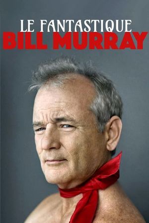 Fantastic Mr. Murray's poster