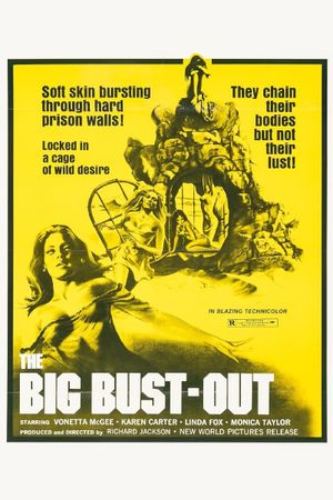 The Big Bust-Out's poster