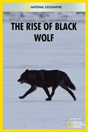 The Rise of Black Wolf's poster