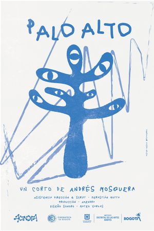Palo alto's poster image