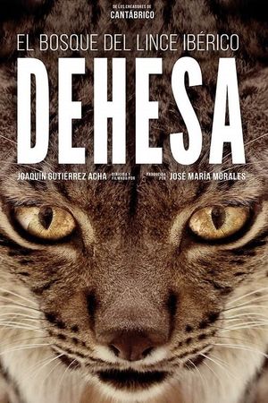 Dehesa - Forest of the Iberian Lynx's poster