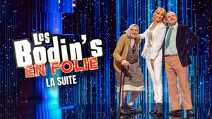Les Bodin's en folie : la suite's poster