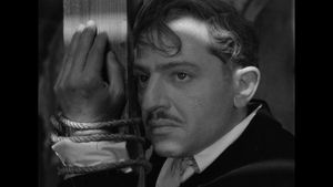 Rififi's poster