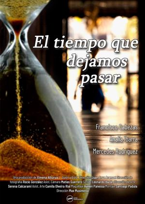 El tiempo que dejamos pasar's poster