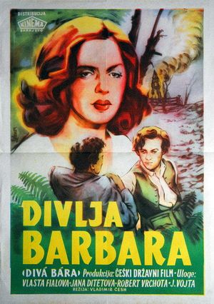 Divá Bára's poster
