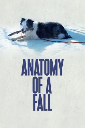 Anatomy of a Fall's poster