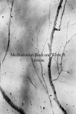 Meditations in Black and White II: Levitate's poster