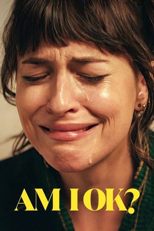 Am I OK?'s poster
