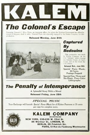 The Colonel's Escape's poster image