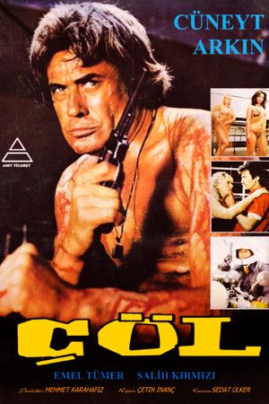 Çöl's poster