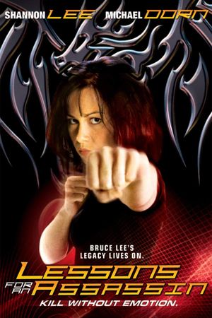 Lessons for an Assassin's poster