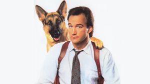 K-9's poster