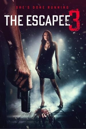 The Escapee 3: The Final Escape's poster