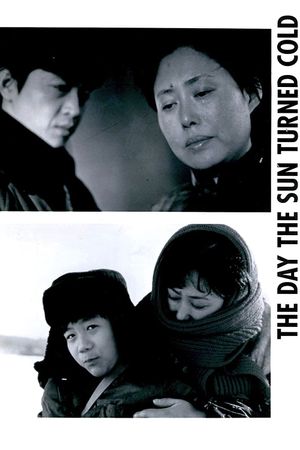 The Day the Sun Turned Cold's poster