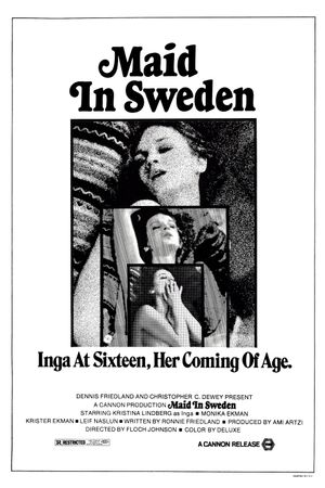 Maid in Sweden's poster