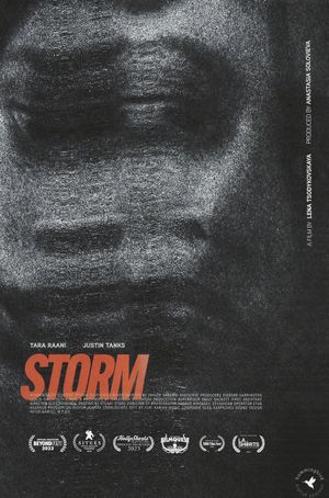 Storm's poster
