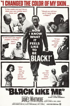 Black Like Me's poster