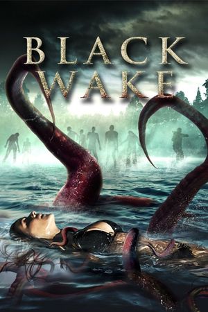 Black Wake's poster