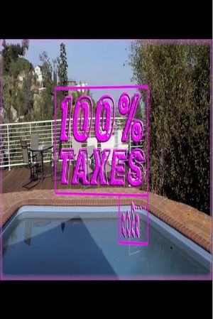 100% Taxes's poster