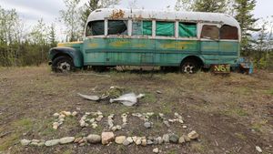 Return to the Wild: The Chris McCandless Story's poster
