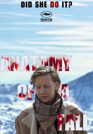 Anatomy of a Fall's poster