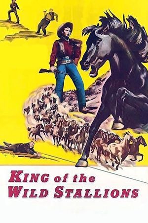 King of the Wild Stallions's poster