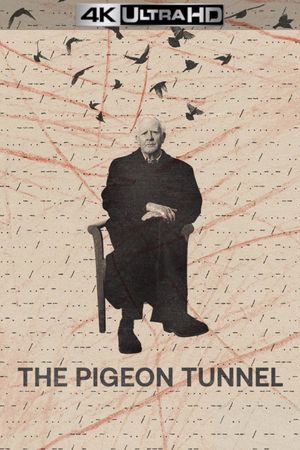 The Pigeon Tunnel's poster