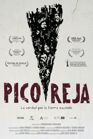 Pico Reja's poster